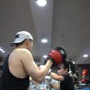 가은미트 이미지
