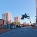 삼호빌라트 이미지