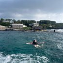 UR(서귀포시)-[태위로]-하-6 | 제주 물놀이하면 태웃개, 스타벅스 제주 온리 피넛 쑥 떡 스콘 핵노맛 후기