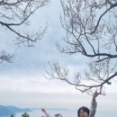 전남 여수게도 봉화산2 이미지