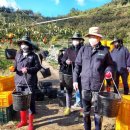 금정면사무소 이미지