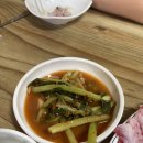 도라지식당 Daum카페