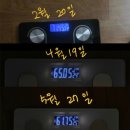 비바짐