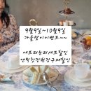 그레이스티카페
