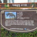 승기공원 앞 이미지
