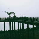 대부해솔길 1코스 이미지