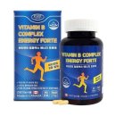 에버그린 이미지