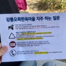 [강릉] 한옥 숙소 추천! 오죽한옥마을 고급형 지신관 숙박후기