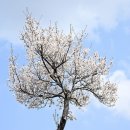 충북곰두리체육관 이미지