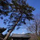 ☆-경주에 숨어 있는 보석같은 사찰 함월산 기림사(含月山 祗林寺)_()_ 이미지