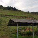 다송농장 이미지