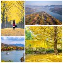 헤이리1970(피비유아) | 서울 근교 드라이브 &amp; 가족 여행지 완벽 가이드