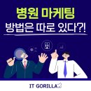 아이티고릴라 - 17756 | 아이티고릴라 :: 병원마케팅 방법은 따로 있다?!