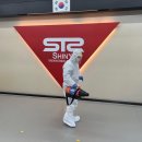STS한국체대태권도 이미지