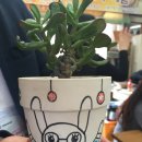 도연농장 이미지