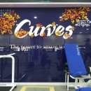 커브스 사당클럽 이미지