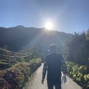 후니네멍멍이 이미지