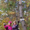 사정1리경로당 이미지