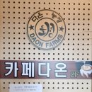 다온카페 이미지