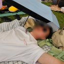 세계유일 소주페스티벌 2024 이슬라이브 페스티벌 (라인업 제일버거 요거트월드 하이볼 아이유 등)