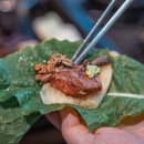 모범돼지 이미지