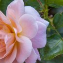 가나다모텔 이미지