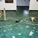 e-creative 이미지