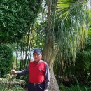 부산수목전시원 이미지