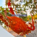 광해수산 | 태안 모항항 수산시장 방문 후기｜캠핑 전 신선한 회와 꽃게 포장