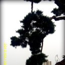 축구장 옆 이미지