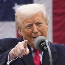 Re: Re: 암석 해변에 나타난 검은 그림자들 / 한 호 석 소장 이미지