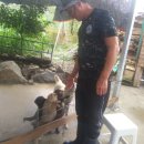 빛나는월악펜션 이미지