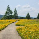 구미강정 이미지