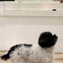 바레 | [Review] 인천 송도 베라시떼 필라테스&amp;바레 솔직 후기