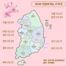 2024년04월07일 창원 천주산 산행안내 및 예약 이미지