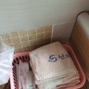 산모랭이 | [충북 보은] 산모랭이 풀내음 펜션 대형수영장