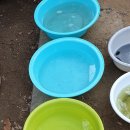 장미크리닝 이미지