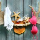 아름다운세탁 이미지