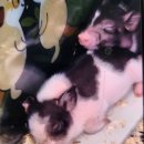 테이블에이 이미지