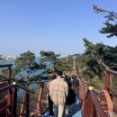 대왕암공원 안내센터 | [동구/일산동]대왕암공원 출렁다리