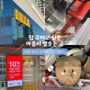 소소한 행복 홈패브릭 인테리어 | 🏠강동 이케아 방문 후기 — “집 꾸미고 싶은 마음이 샘솟는 곳”🧺