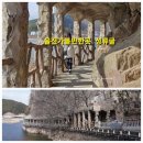 용식목장 | 울진 성류굴 인생샷도 남기고 울진가볼만한곳 황금대게공원