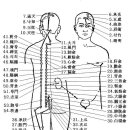 (7) 족태양방광경(足太陽膀胱經(B))-67穴 이미지