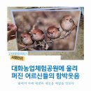 대화농업체험공원 | [2025 고양문화재단 서포터즈] 대화농업체험공원에 울려 퍼진 어르신들의 함박웃음