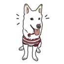 복주소