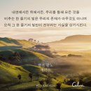 바디챙김