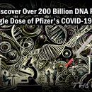 [우한폐렴] 화이자-코로나19백신1회접종:2,000억개 이상의 DNA조각 발견 이미지