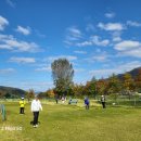 파크골프에 빠진 시니어들 이미지