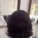 에스에스헤어 이미지