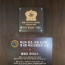 오아시스온 | 클럽디 오아시스 스파(엘시티)｜힐링 제대로 하고 온 찜질스파 후기